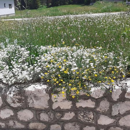 Milka Hotel Zabljak  Bagian luar foto