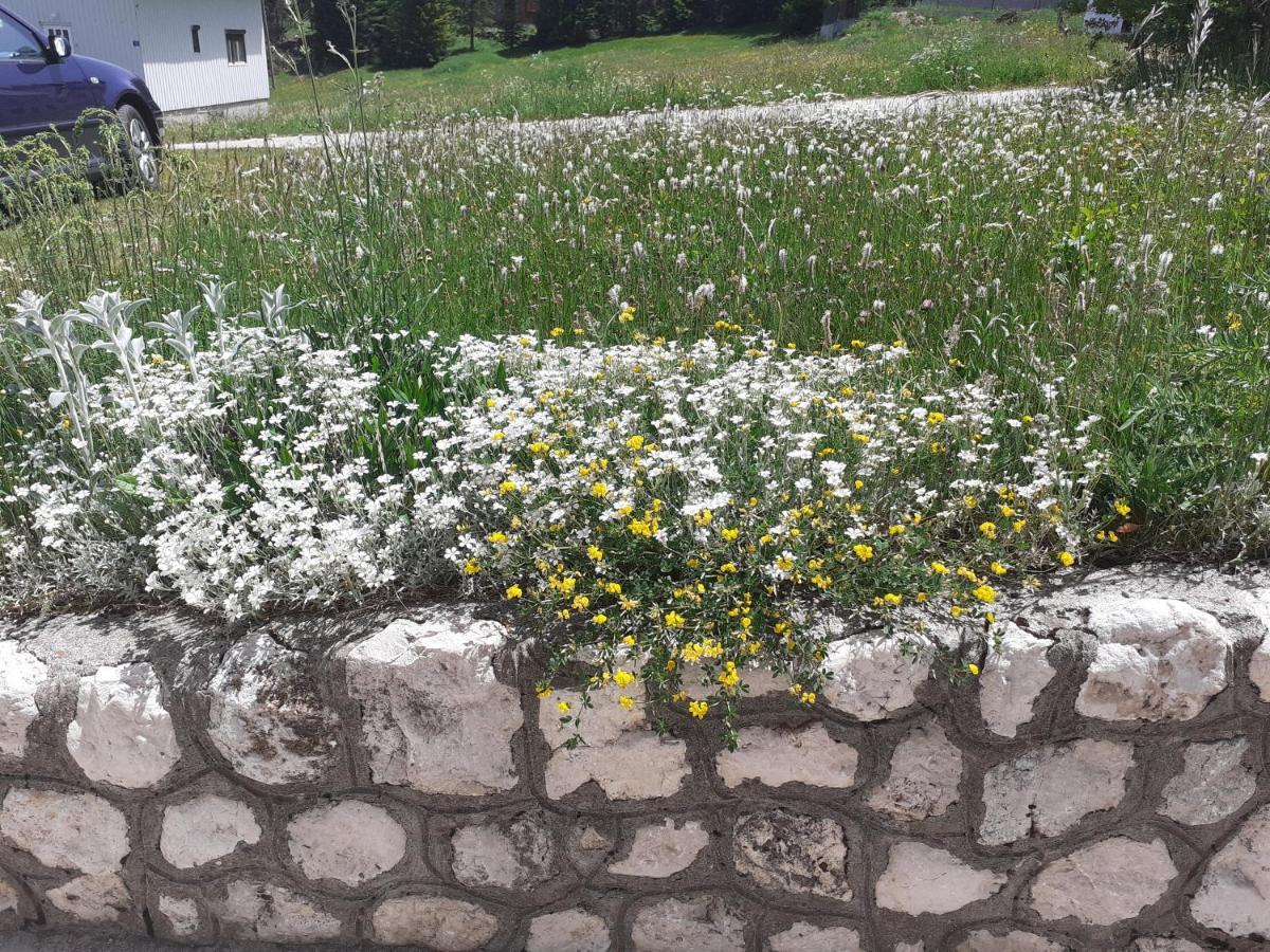 Milka Hotel Zabljak  Bagian luar foto